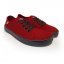 Anatomic Starter A16