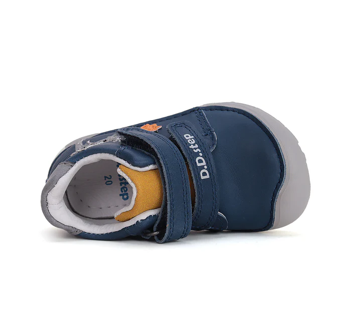 D.D. STEP S073-51696A bermuda blue