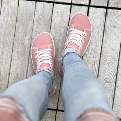 Anatomic Starter A21