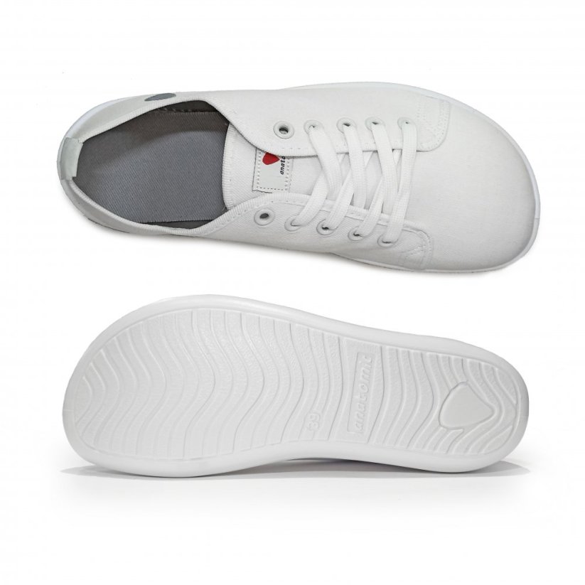 ANATOMIC NATURAL CANVAS - 1N03